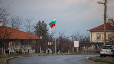 Монтираха петметров пилон с националния флаг на входа на ямболското село Роза